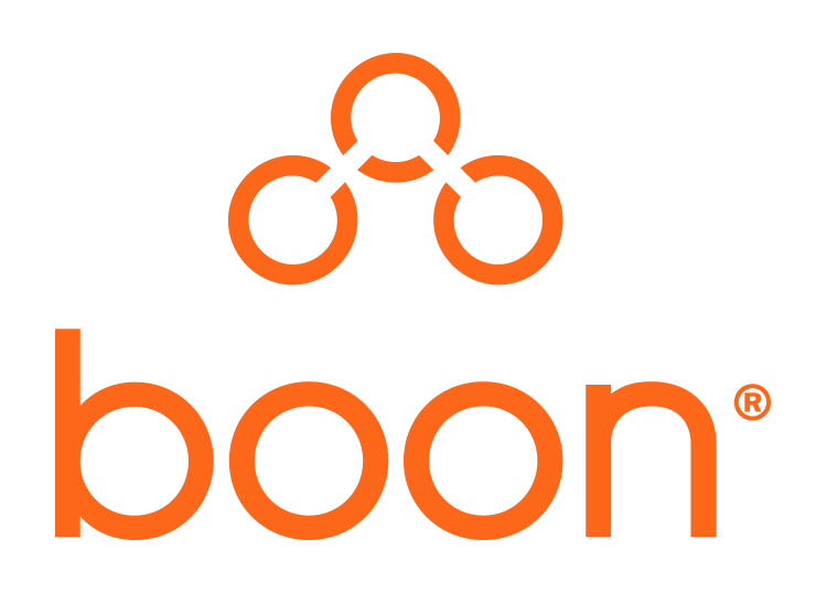 The Boon group